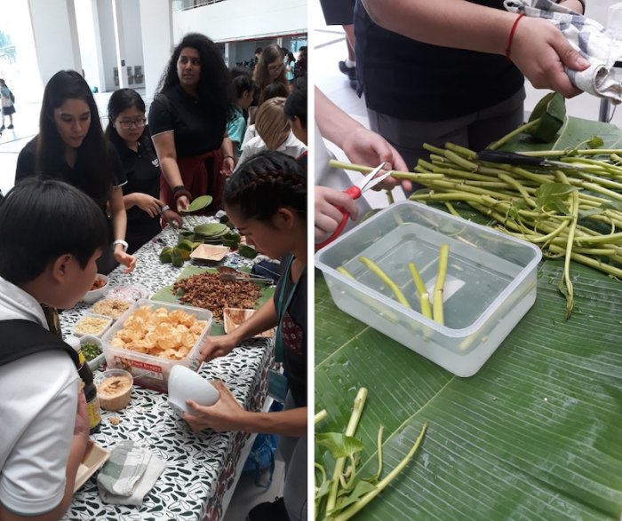 Teaching Sustainable Straws and Bowls to International Schools
